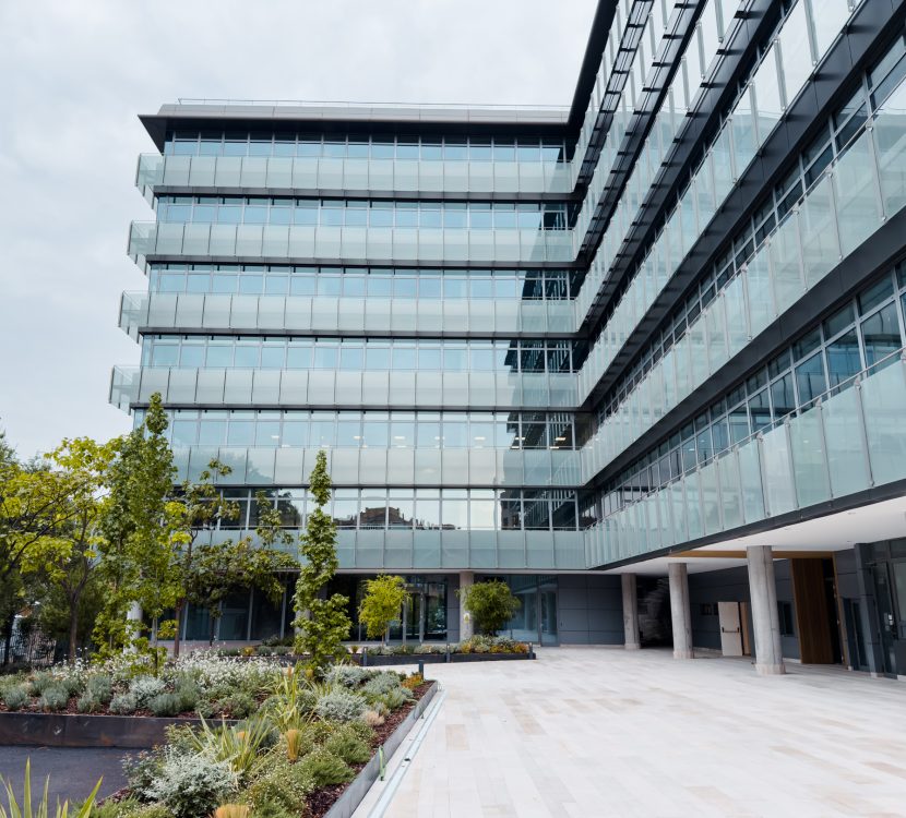 Gaztelu-JV48-Oficinas-02