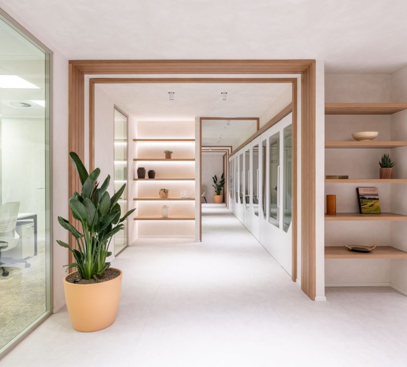 Gaztelu-Partenon-Oficinas-05