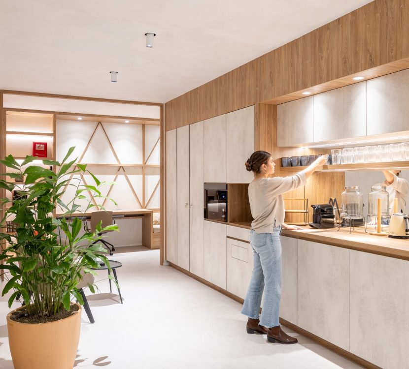 Gaztelu-Partenon-Oficinas-06