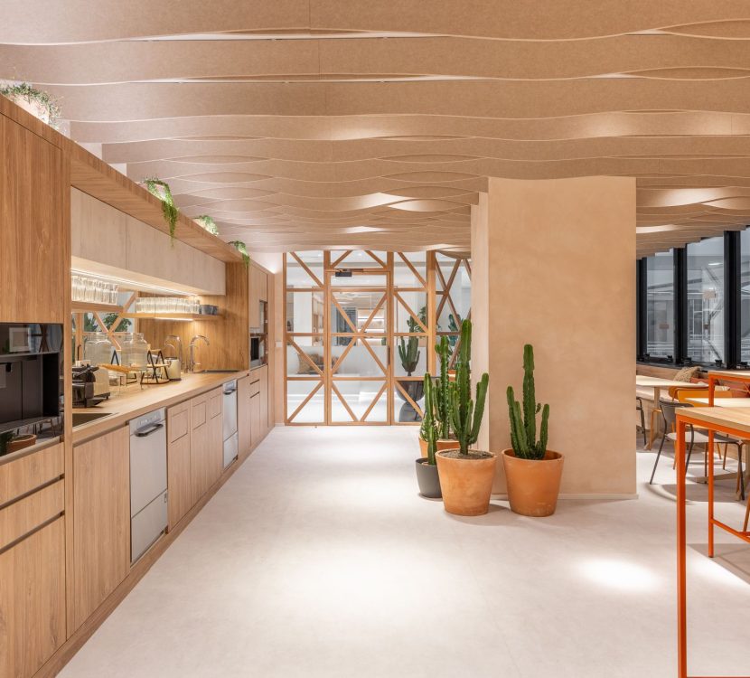 Gaztelu-Partenon-Oficinas-07